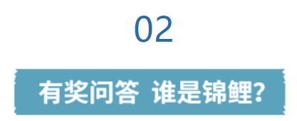 211687310923518600.png image.png