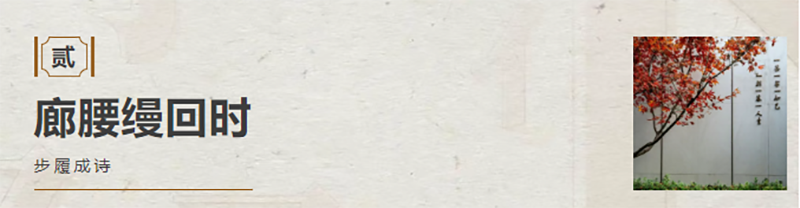 281740733248608474.png 02.png